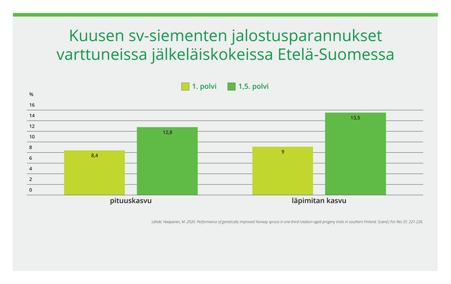 Kuusen siemenviljelyssiementen jalostusparannukset varttuneiden jälkeläiskokeiden  Etelä-Suomessa perusteella kertovat, että pituuskasvun paranee 1.polven siemenestä siirryttäessä 1,5.polven siemeneen 4,4% ja läpimitan kasvu 4,5 %.