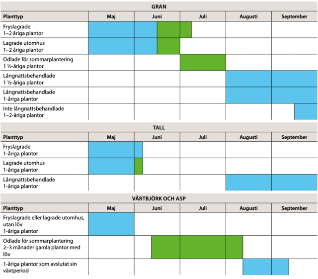 Planteringstidpunkter som tabell