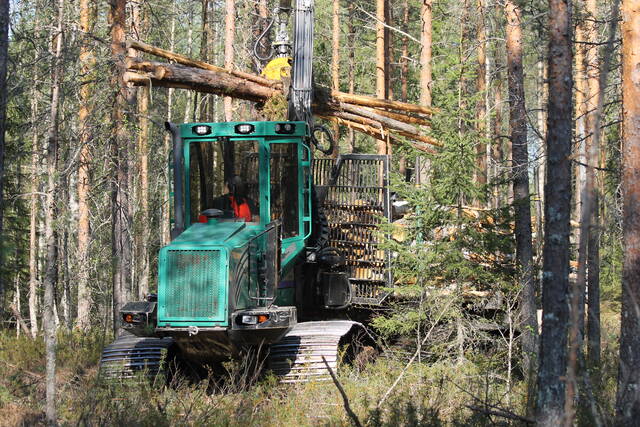 ProSilvan ajokone kuormaamassa puutavaraa