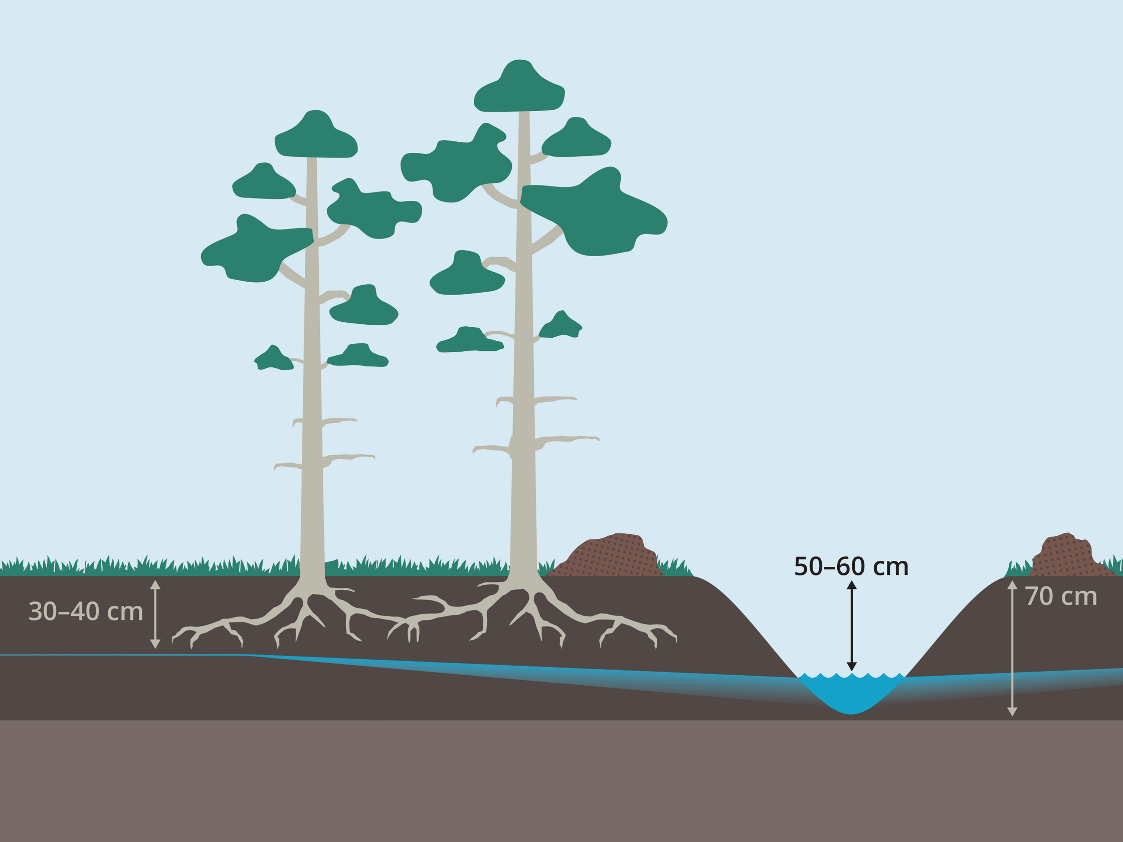 Uylangan yalangoch ayollar