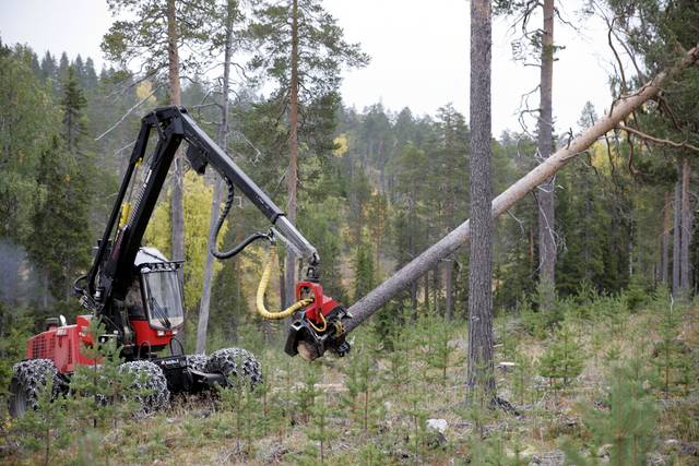 Ylispuiden poisto harvesterilla