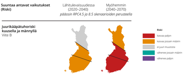 Juurikääpätuhoriski kuusella ja männyllä kasvaa jossain määrin 2020-2040 välillä Etelä- ja Väli-Suomessa ilmastoskenaarioilla ja riski kasvaa paljon 2040-2070 välillä ja jossain määrin Pohjois-Suomessa.