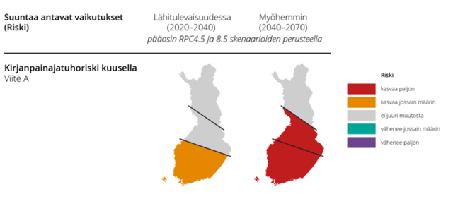 Kirjanpainajatuhoriskin suuntaa antava ennuste, jossa 2020-2040 välillä riski jossain määrin kasvaa Etelä-Suomessa ja 2040-2070 kirjanpainajatuhoriski kasvaa paljon Etelä- ja Väli-Suomessa.