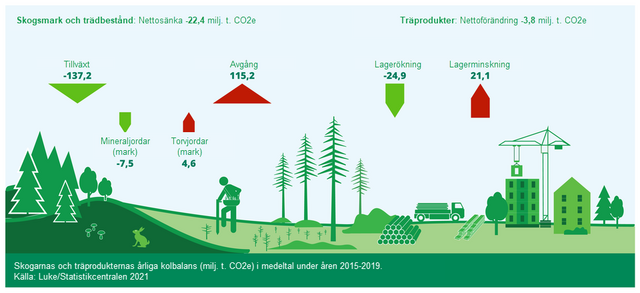 Skogens och träprodukternas kolbalans