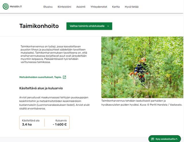 Metsään.fi verkkopalvelun sivu, jossa näkyy taimikonhoidon kuvaus, joka on haettu metsänhoidon suositusten rajapinnasta. 