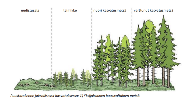 jaksollinen kasvatus